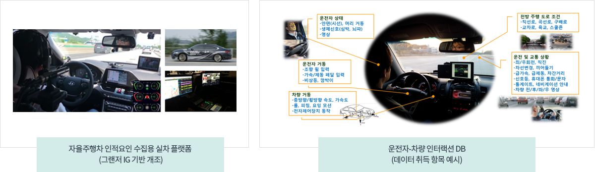 운전자인적요인